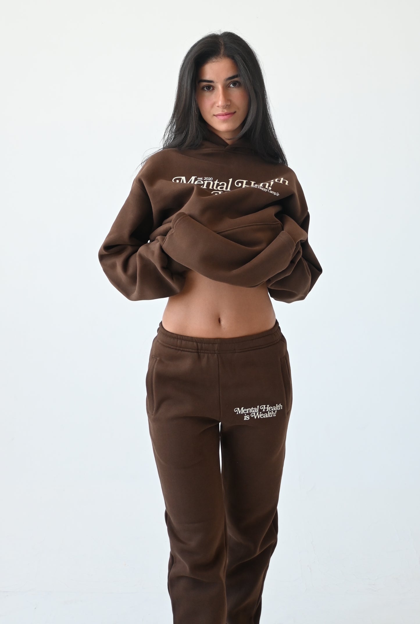 Mental Health is Wealth Hoodie - Chocolate