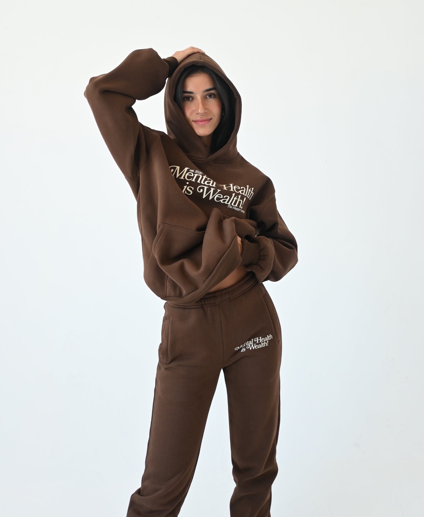Mental Health is Wealth Hoodie - Chocolate
