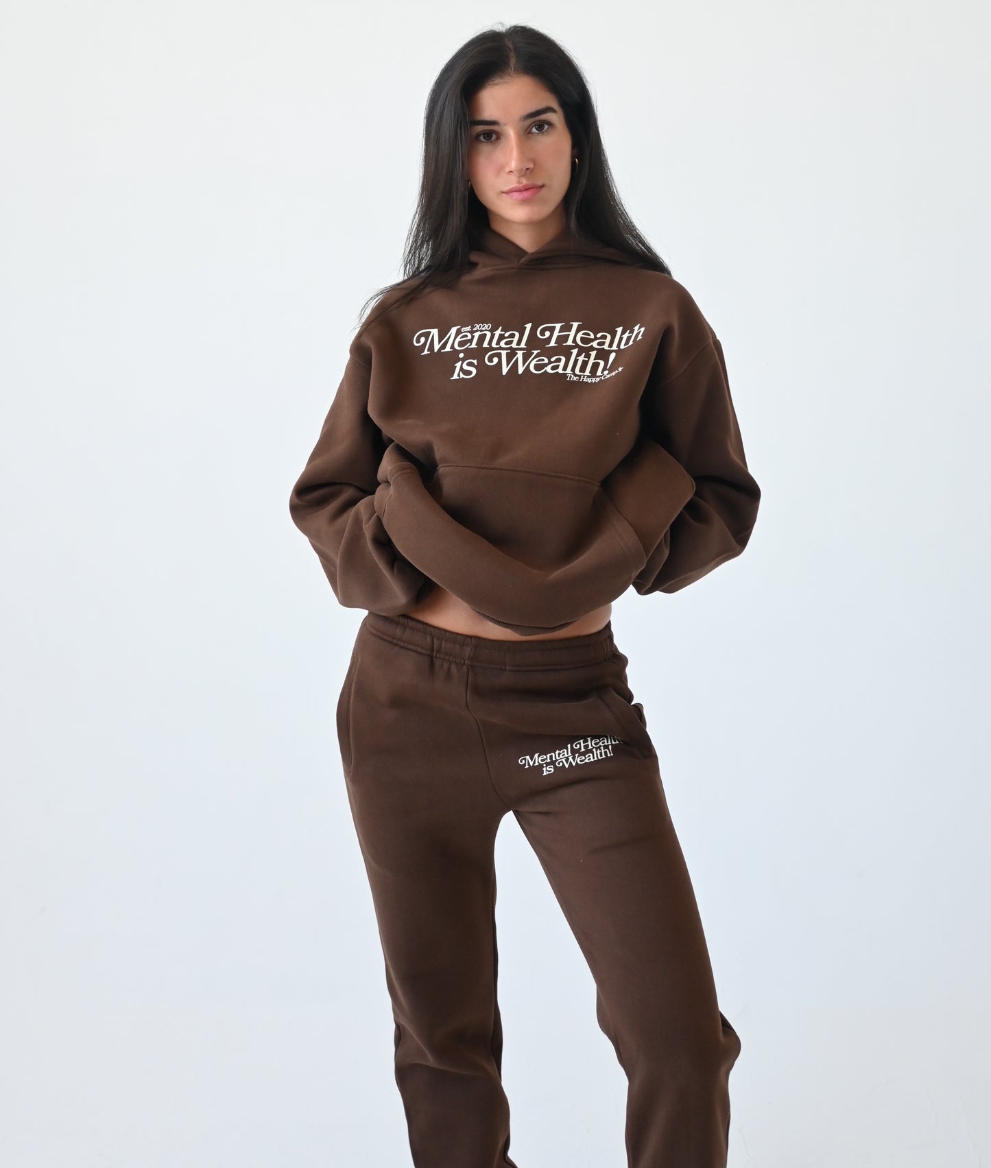 Mental Health is Wealth Hoodie - Chocolate