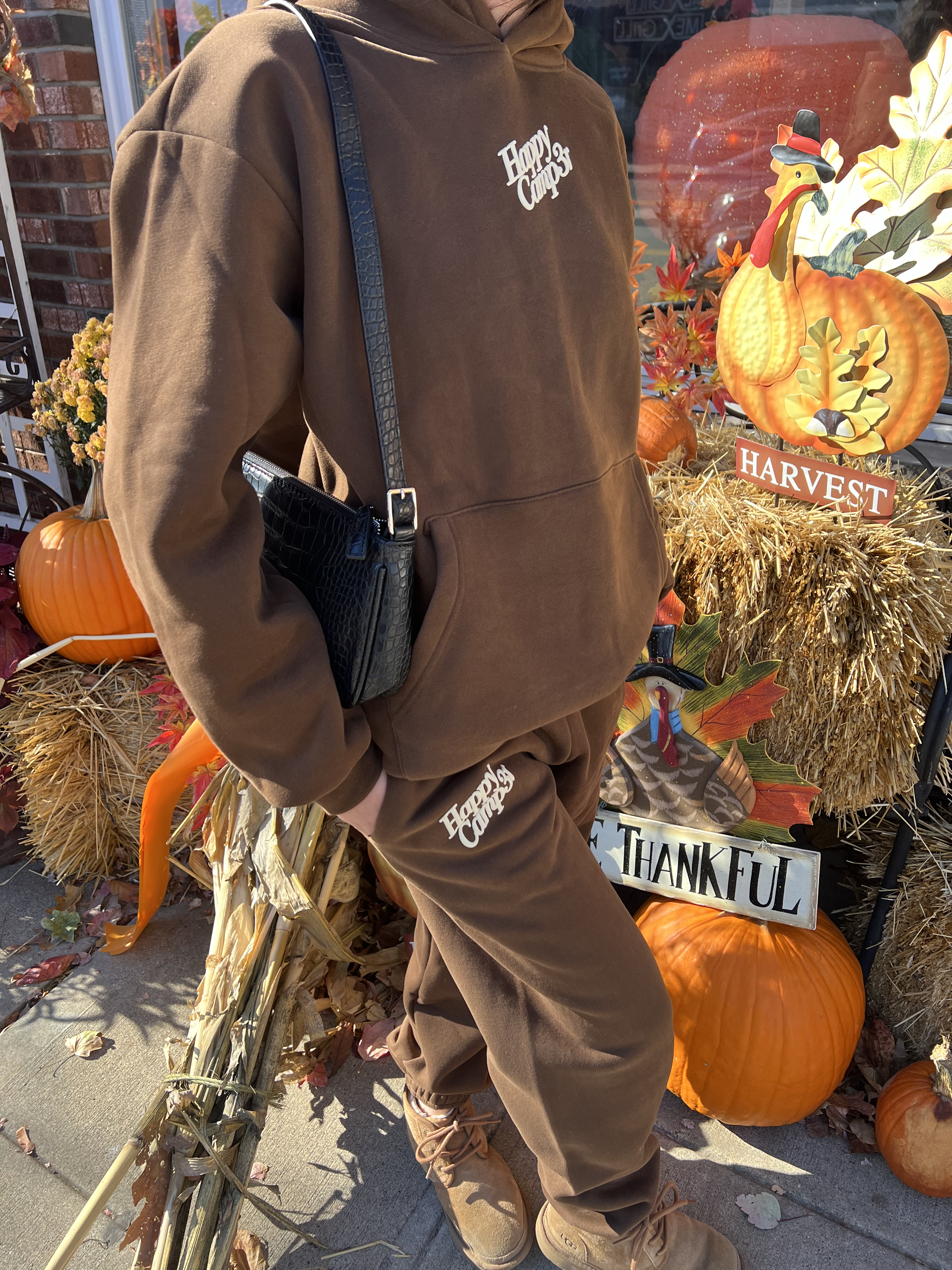 Puff Series Hoodie - Chestnut Brown