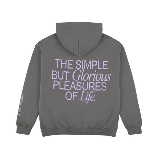 Simple but Glorious Pleasures of Life Hoodie - Gray