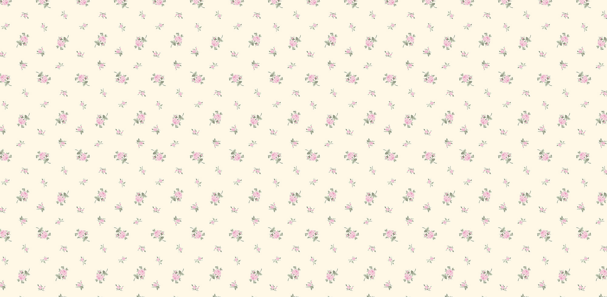 newsletter signup background