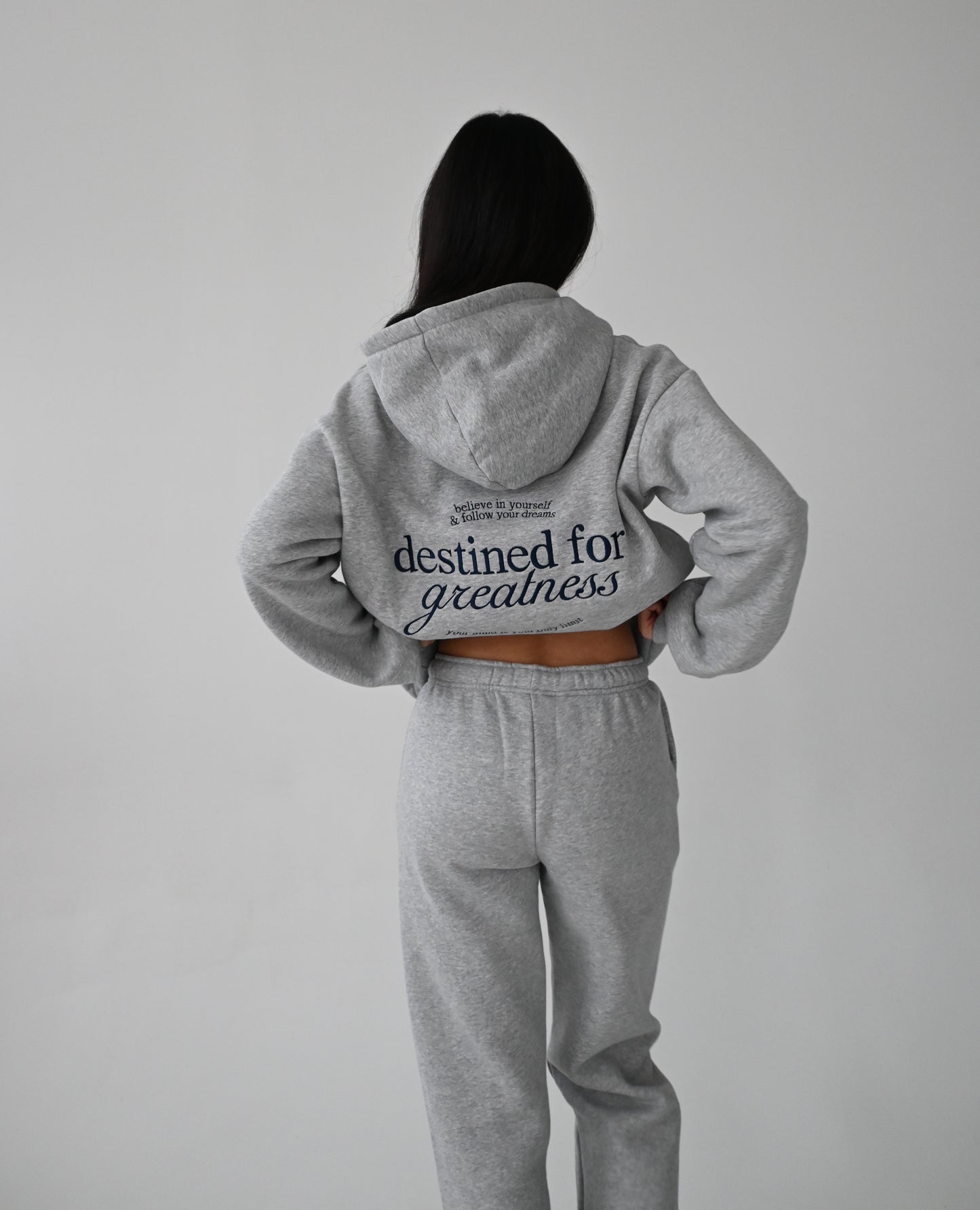 Destined for Greatness Hoodie - Heather Gray